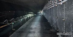 中能袁大滩矿业：砼路强基 “九全九双”铸就安全高效新标杆