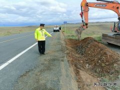 富蕴执法大队：开展路域环境整治行动 全面提升公路“颜值”
