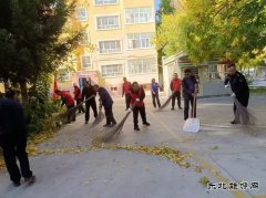 阿勒泰执法支队哈巴河执法大队：党员志愿服务在行动