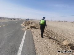 哈巴河执法大队：清除路面杂物，及时化险为夷