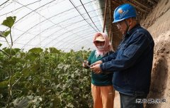 国网阿鲁科尔沁旗供电公司：不误农时不负春 电力服务助农户