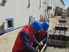 国网牡丹江东宁市供电公司：菌业“电保姆”供电护航助发展