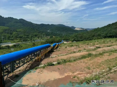从“生态包袱”到“绿色富矿”，这项治理工程如何唤醒金山？