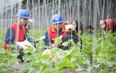 国网阿鲁科尔沁旗供电公司：电力赋能奏响乡村振兴“交响曲”