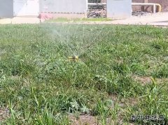 牛儿庄采矿公司：废水巧利用环保又节能