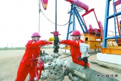辽河冷家油田：稠油冷采 节能增产