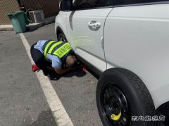 ：Ｖ捶ù蠖：跨区域联动 共绘交通服务新画卷