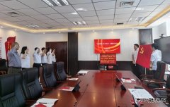 国网阿鲁科尔沁旗供电公司：开展主题党日活动