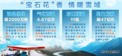 “宝石花”香 情暖雪域