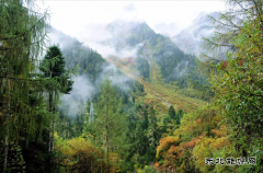 墨脱印记：雨林秘境与天堑之路
