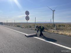 哈巴河执法大队：精细化巡查筑牢辖区公路安全防线