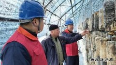 国网牡丹江东宁市供电：护航秋收保丰产 暖心服务助“耳”香