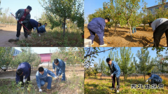 国网宁城县供电公司：“青年林”开讲，助力新员工启航