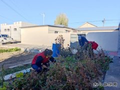 国网巴林右旗供电公司：庭院扫净映初心 舞姿翩跹暖桑榆