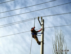 国网阿鲁科尔沁旗供电：全力冲刺！推进农配网工程建设进度