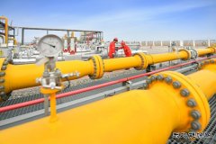 吉林油田双坨子储气库：聚焦设备 精细管理