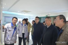 四川省完美体育局、林草局调研组赴盐盈公司调研农林生物质发电项目