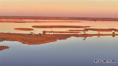 吉林油田：守护湿地 “朋友圈”