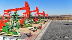 大庆油田采油一厂：精修细护攻坚百日上产