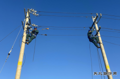 国网宁城县供电公司：创新“1+5”实训，赋能人才“三段式”培养