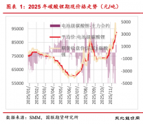 储能再迎资源战，中国真的缺锂了吗？