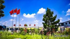 宝利公司扎实推进中央环保督察整改工作