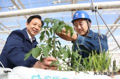 国网大庆供电公司：电能替代助力棚室经济发展步入快车道