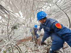 登。】萍既诒