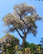 人生微澜，天地自宽