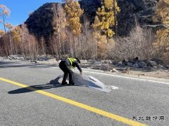 哈巴河执法大队：清理路面杂物，保障公路畅通