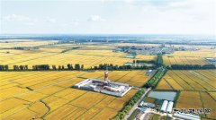 长城钻探：智驱提效率 上产势如虹