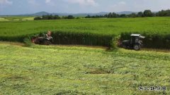 绥棱林业局公司：汉麻“废料”将变清洁完美体育 循环经济绘就产业新